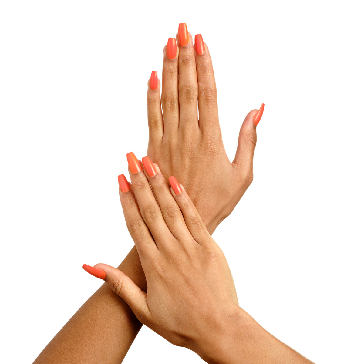 Claws by Tiger Taylor Jalisco orange hands